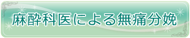 麻酔科医による無痛分娩