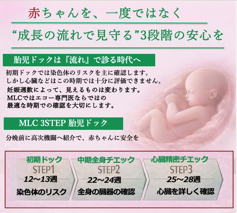 胎児ドックステップ画像